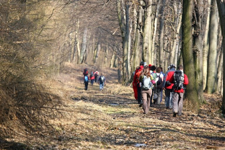 Eveline & Martijn 1 Een man en een vrouw met een hoog EQ omhelzen elkaar buiten, de ogen gesloten, terwijl de man zachtjes haar voorhoofd kust in een gebaar van troost en genegenheid. Beiden dragen blauw en zien er kalm en vredig uit tegen een achtergrond van groen.
