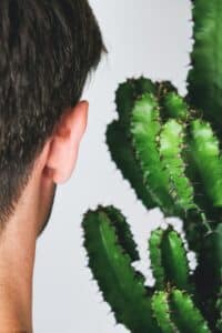 Diepgang in gesprek - oor cactus luisteren