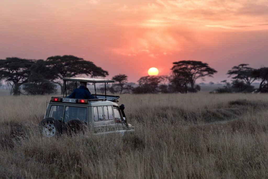 B&B Vol Liefde - Afrika safari