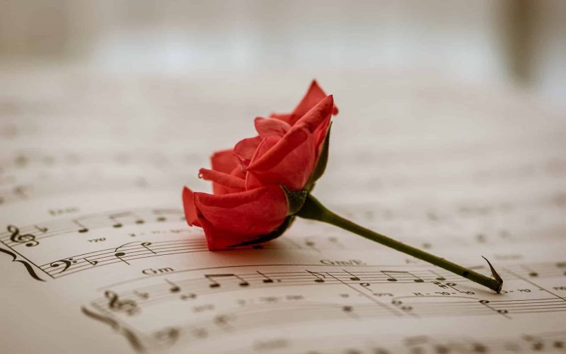 Liefdesliedjes muziek roos