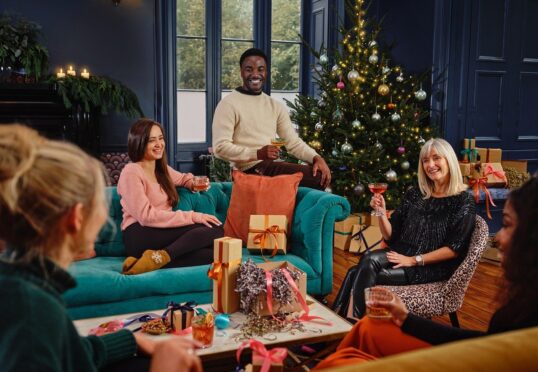 Een groepje van vijf mensen zit en staat rond een woonkamer, die voor Kerstmis versierd is met een boom en cadeautjes. Ze glimlachen en houden drankjes vast en lijken te genieten van een vakantiebijeenkomst georganiseerd door een eersteklas datingbureau. De kamer is gezellig, met blauwe muren en een feestelijke sfeer.